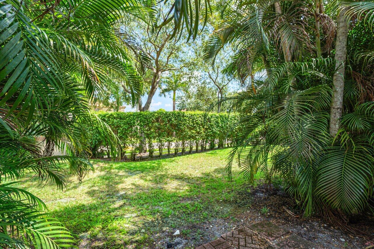 6684 Via Regina Boca Raton, FL 33433 - Photo 18 of 19 a view of yard with small trees