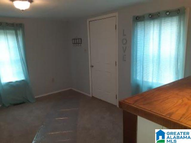 680 Spunky Hollow Road Remlap, AL 35133 - Photo 7 of 7