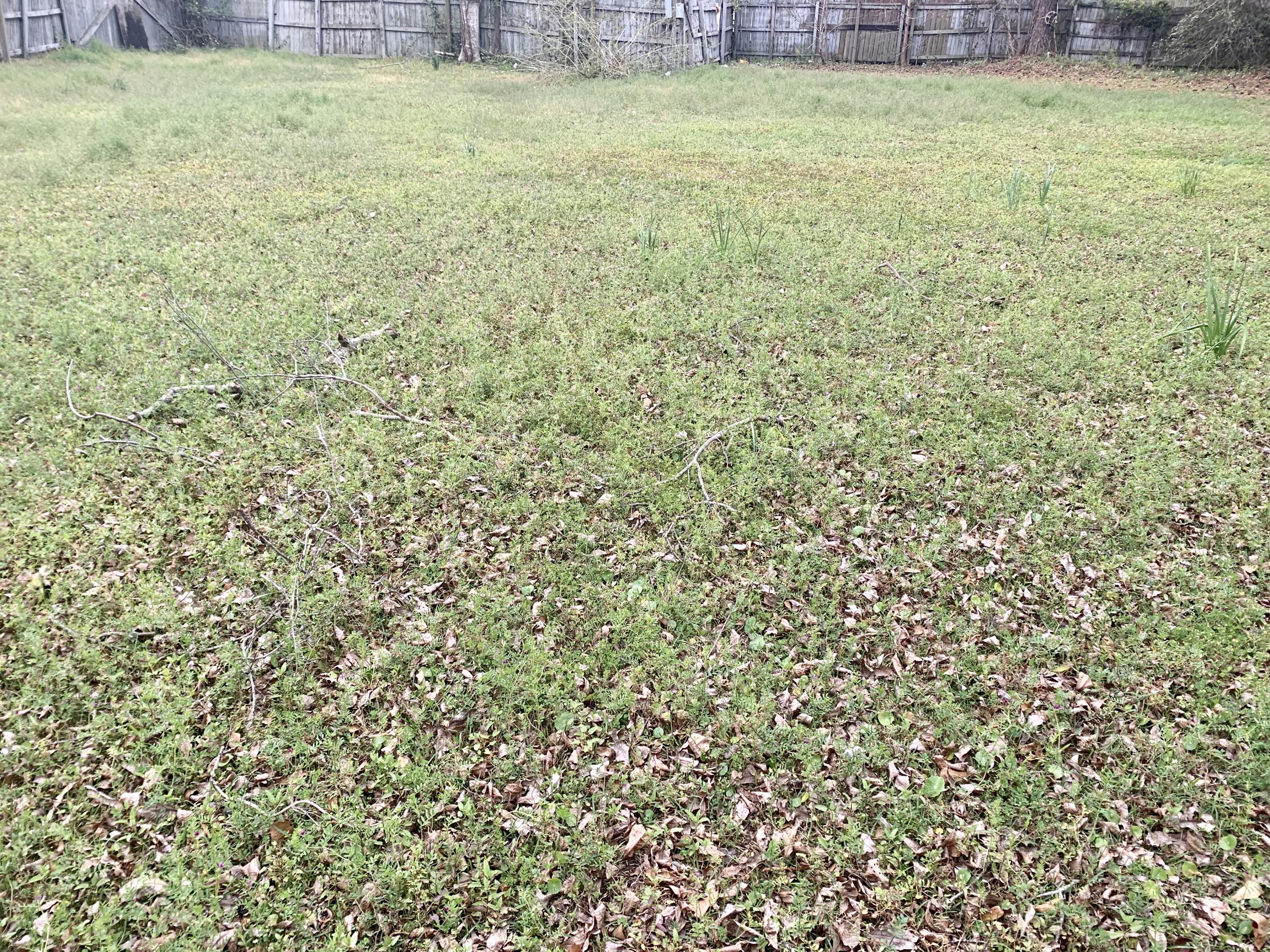 1817 Rifle Range Road Mount Pleasant, SC 29464 - Photo 14 of 19 FE482ABE-491D-4DF9-91B9-585F86A95567