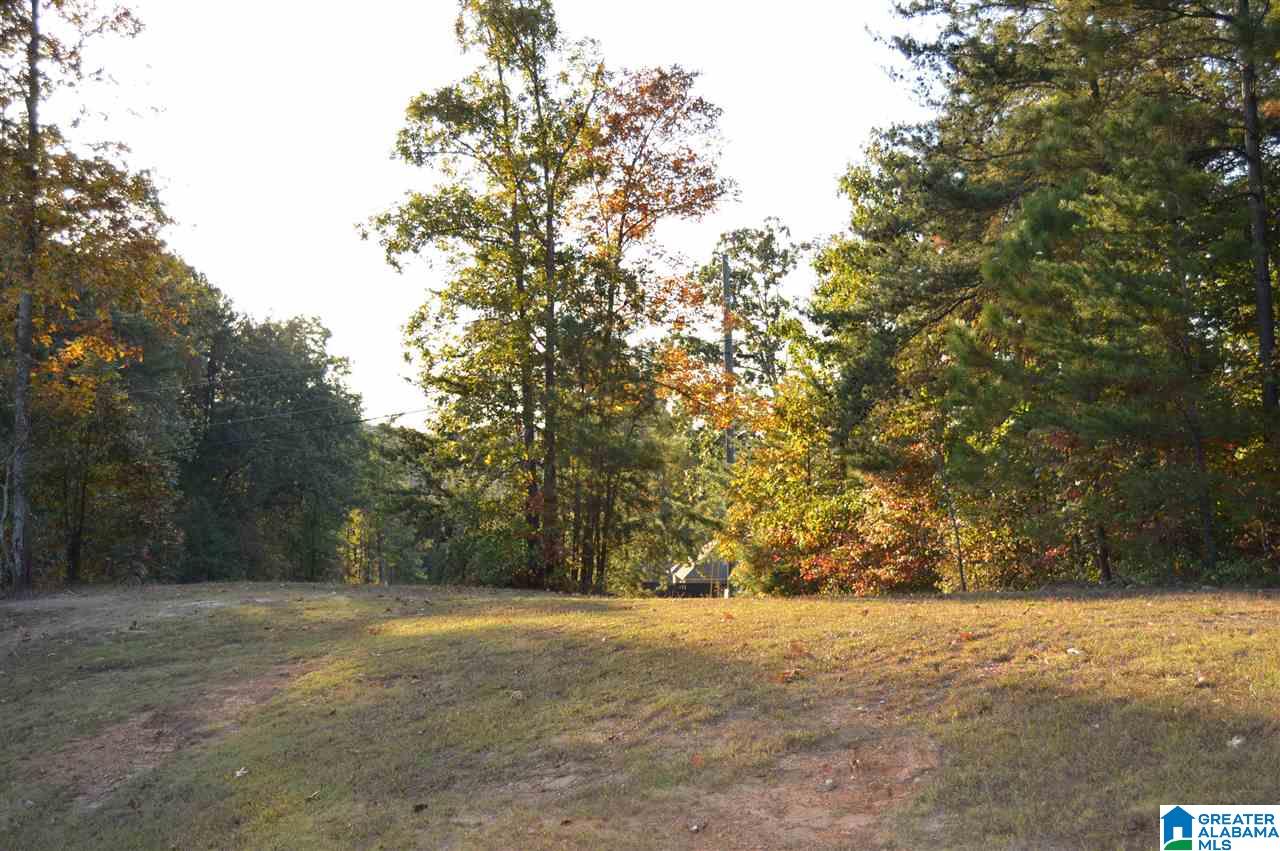 260 Hayfield Loop Dora, AL 35062 - Photo 40 of 42