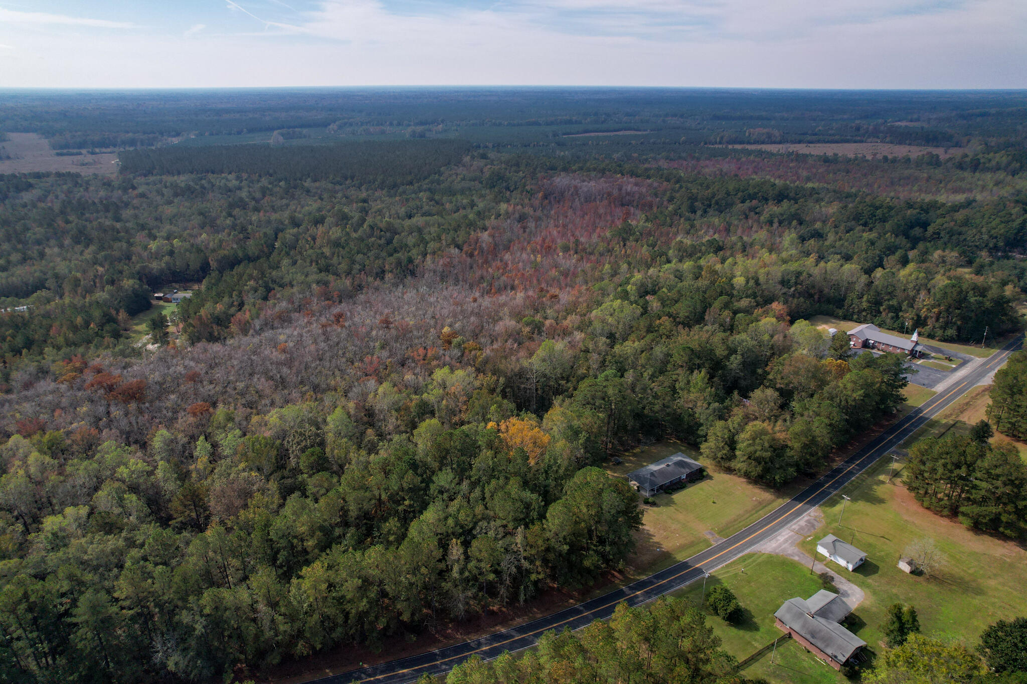 2559 Wire Road St. George, SC 29477 - Photo 6 of 30 DJI_0974