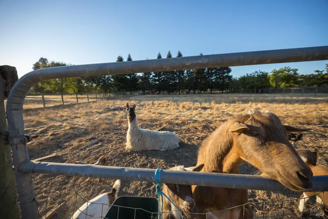 $1,850,000 | 4100 Bisordi Lane, Fulton, CA 95439