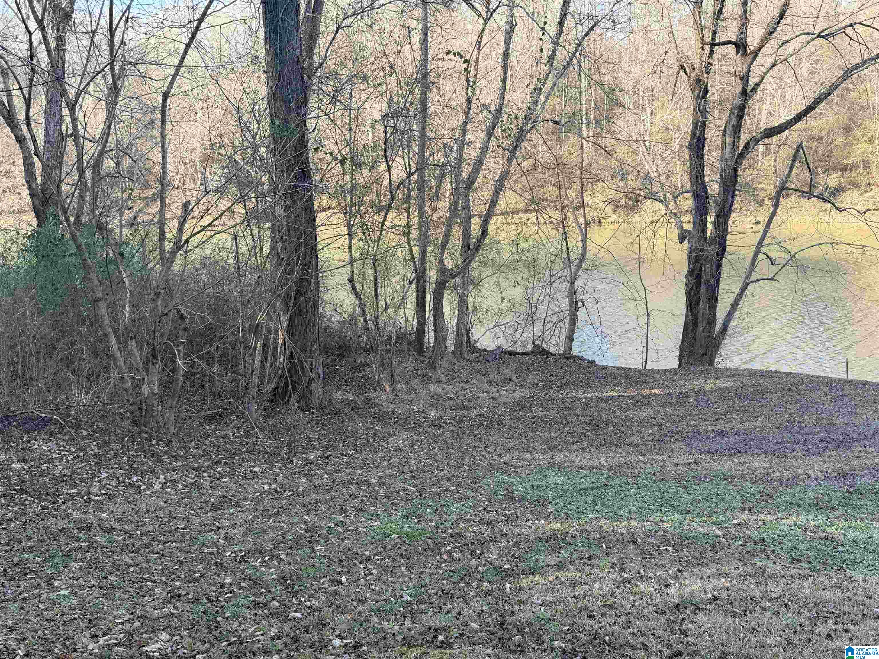 2 Scott Road Cordova, AL 35550 - Photo 7 of 8