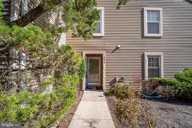 a pathway of a house with potted plants