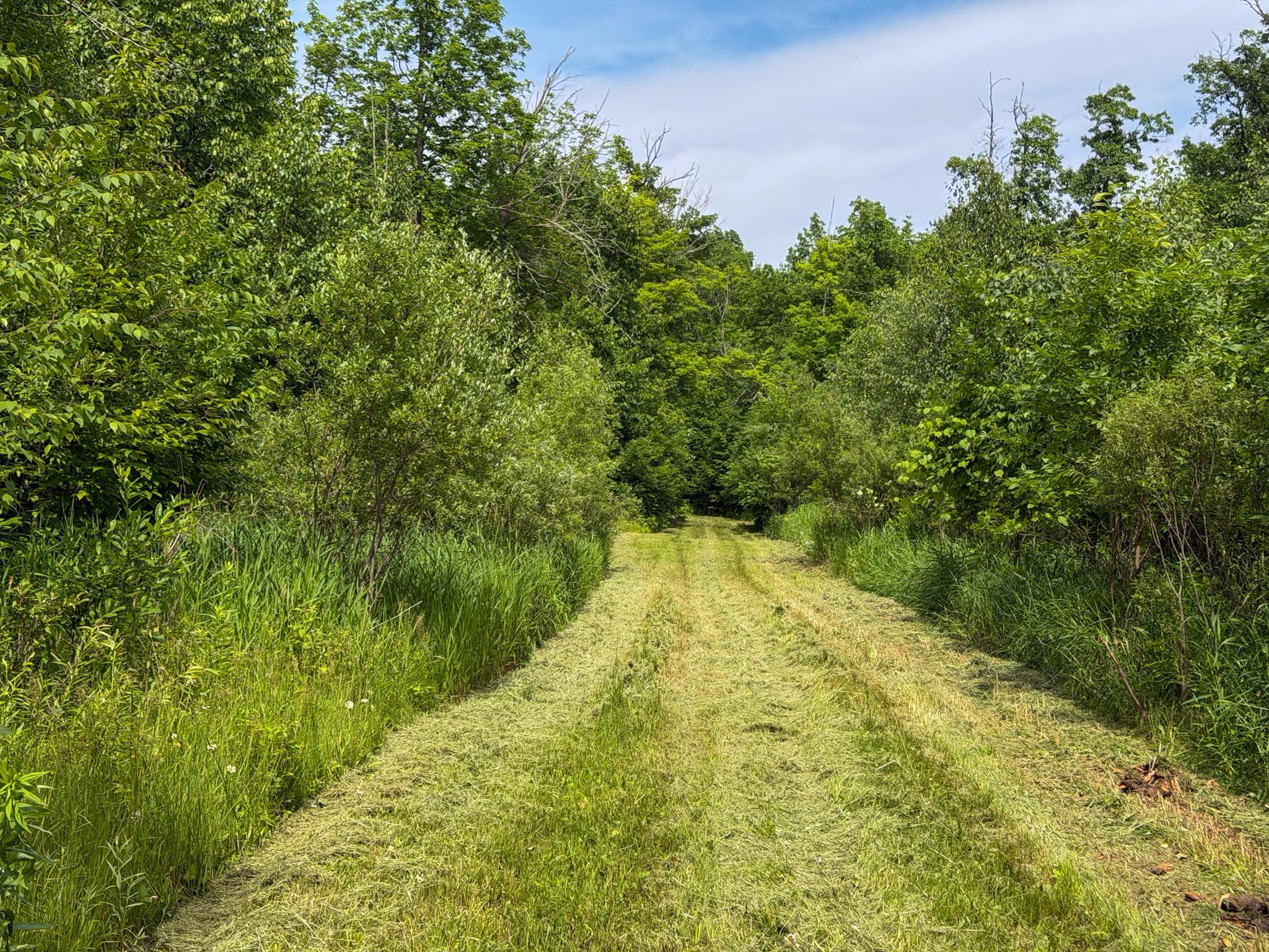 80-acres Pike Bay Loop Road Northwest Cass Lake, MN 56633 - Photo 26 of 27