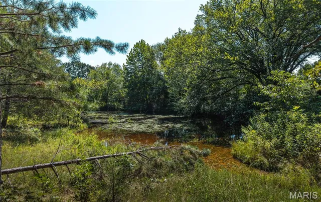 $997,200 | 2251 County Road 6670, Salem, MO 65560