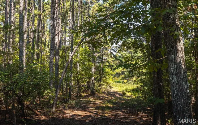 $997,200 | 2251 County Road 6670, Salem, MO 65560