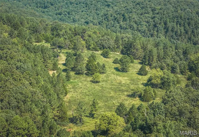 $997,200 | 2251 County Road 6670, Salem, MO 65560