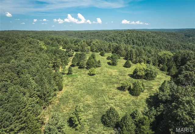 $997,200 | 2251 County Road 6670, Salem, MO 65560