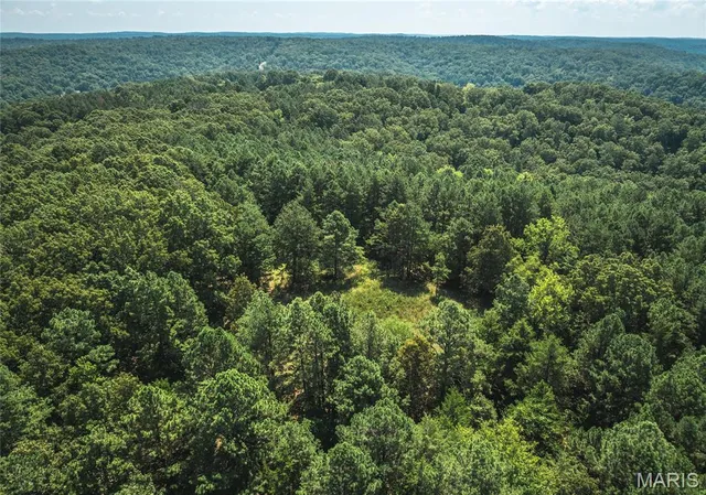 $997,200 | 2251 County Road 6670, Salem, MO 65560