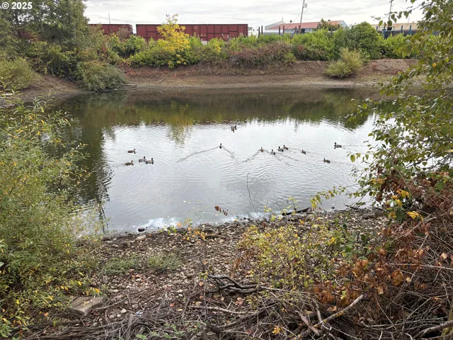 $999,000 | 1281 State Highway 99 North, Eugene, OR 97402