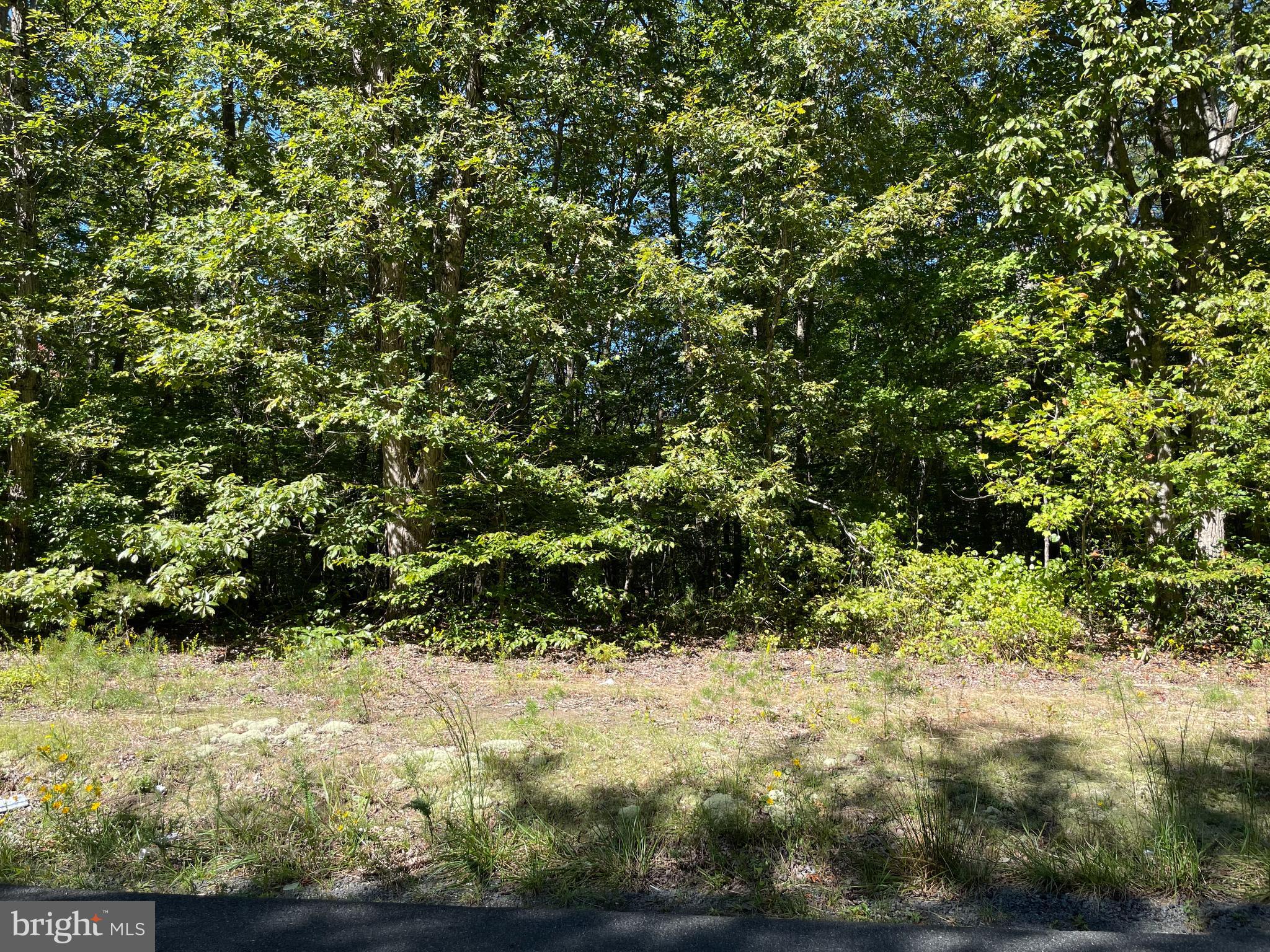 Lot 2 Edwards Shop Road Elkwood, VA 22718 - Photo 2 of 6