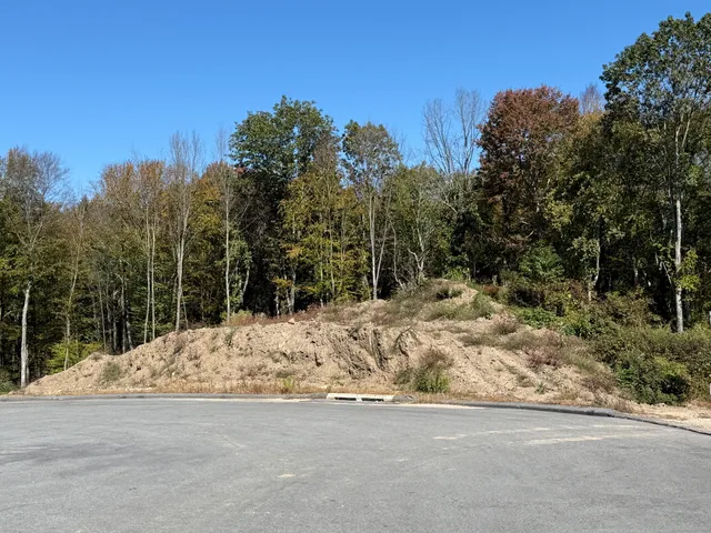 a view of a yard covered with snow in the background