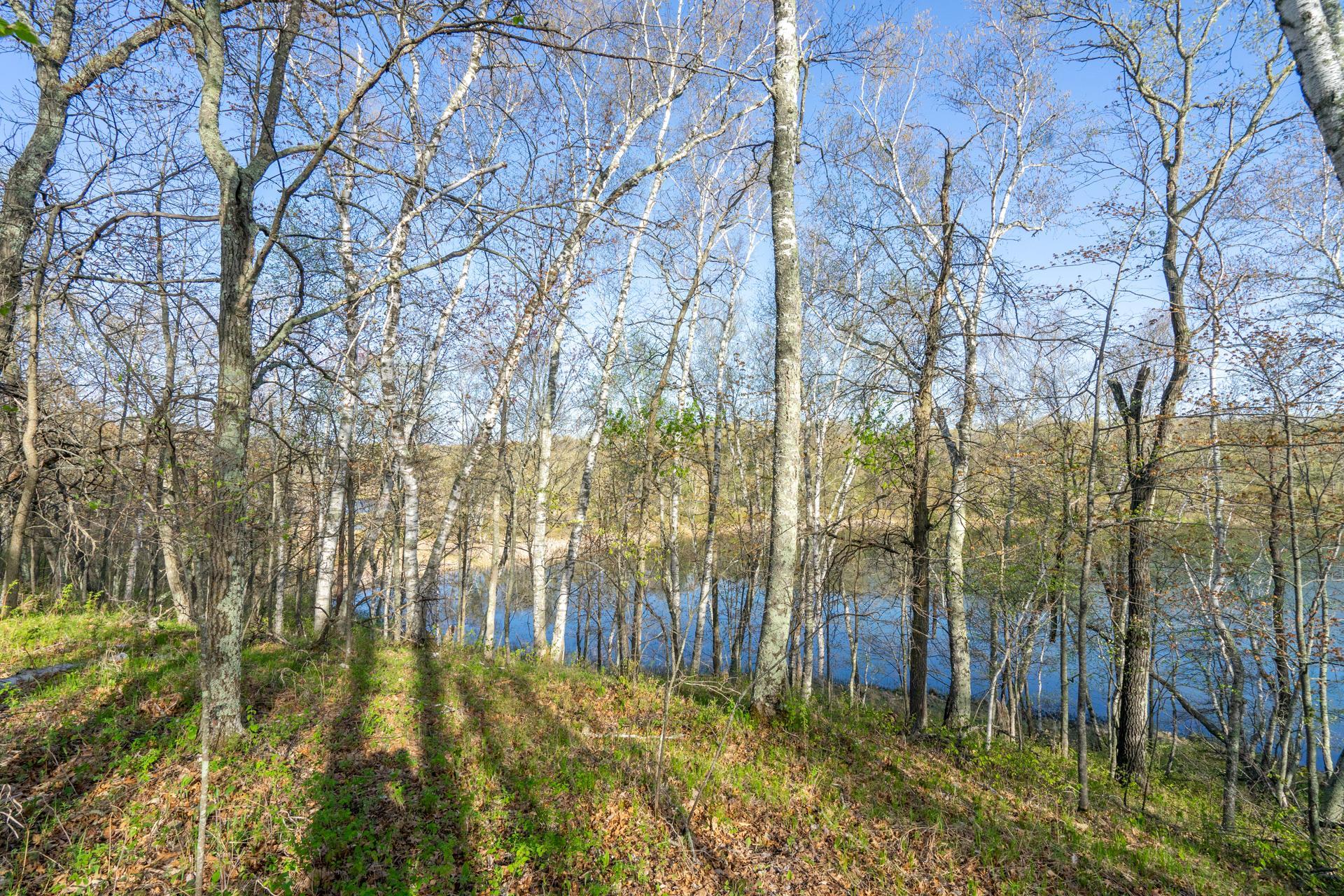 Xxx Timber Ridge Drive Baxter, MN 56425 - Photo 22 of 38