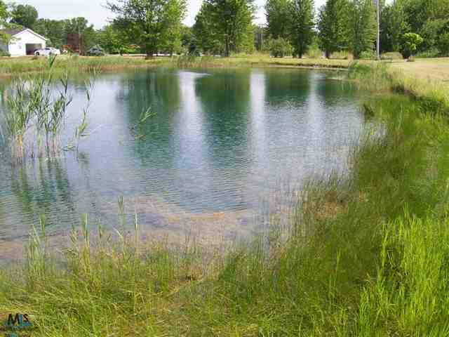7596 Springborn Road Casco, MI 48064 - Photo 24 of 30 31110039-23.JPG