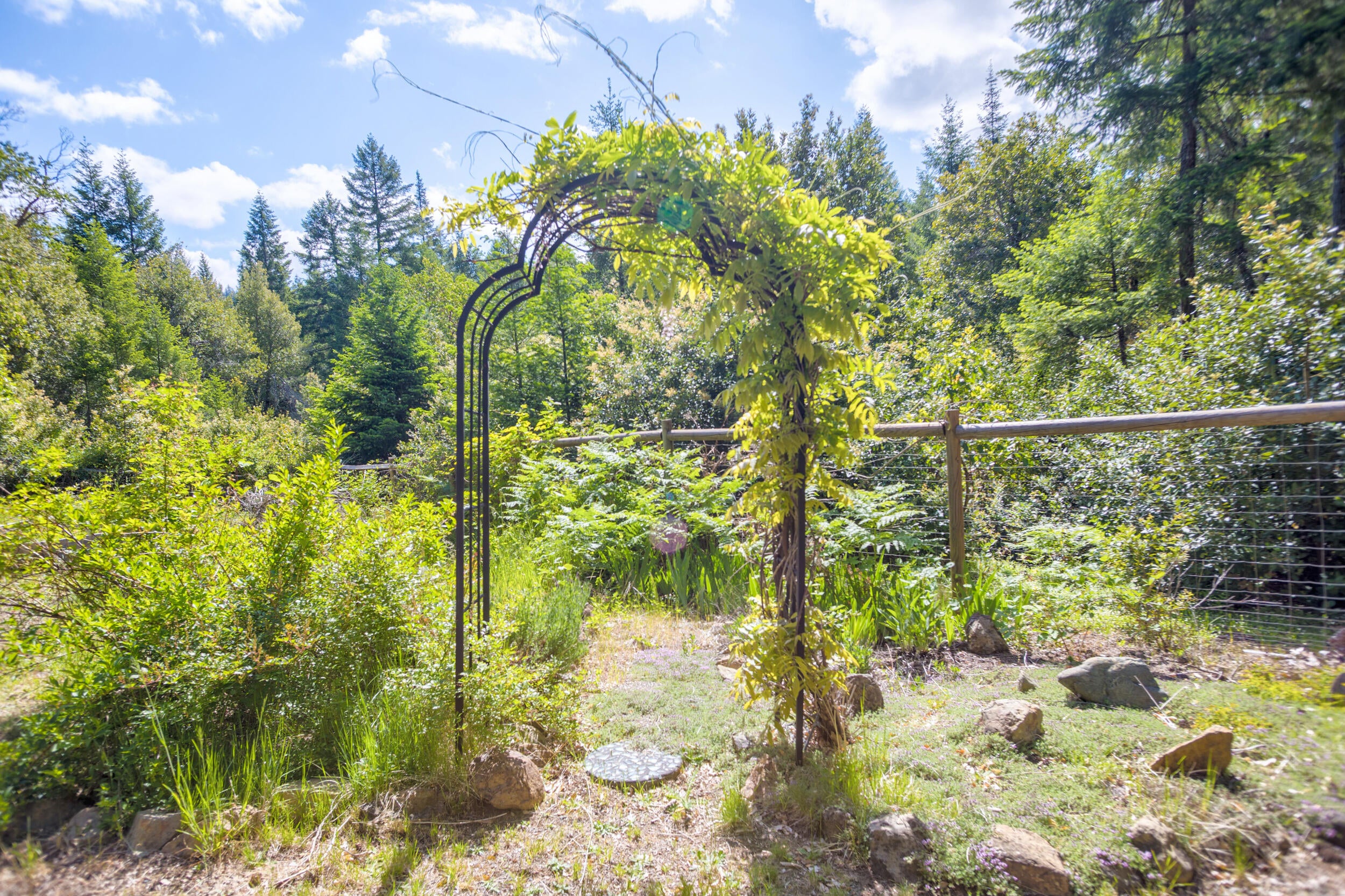 724 3 Mill Road Selma, OR 97538 - Photo 35 of 57 15_0r1a0200b_1b_2b_3b_4bb_1