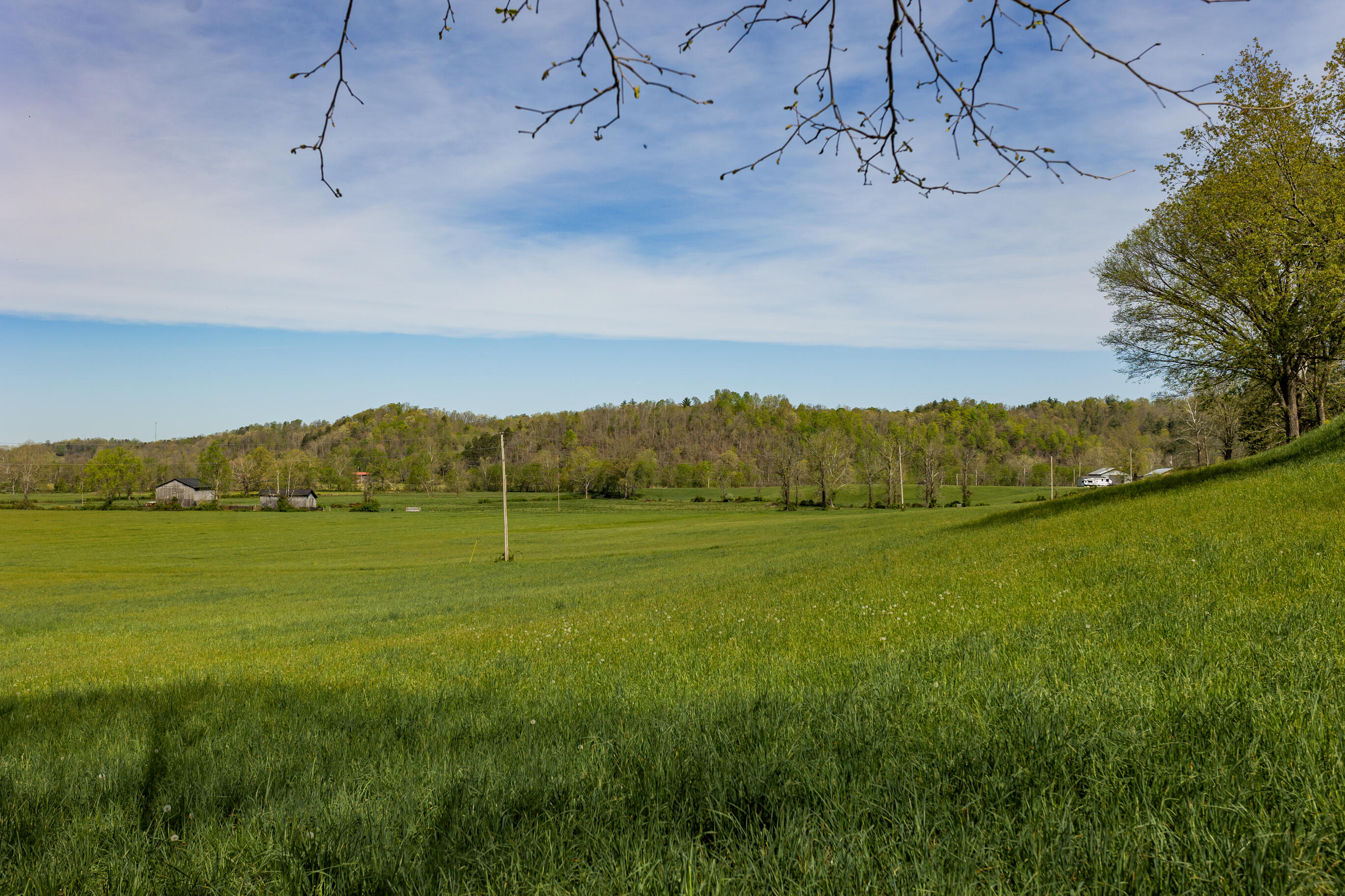534 Lower Gilmore Road Campton, KY 41301 - Photo 28 of 80 FO7A1570