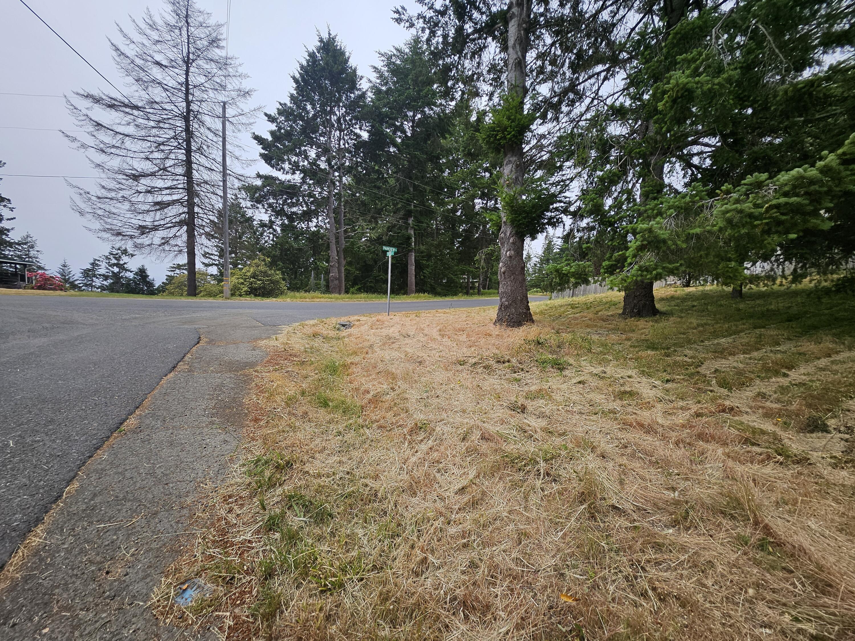 299 Vista Road Shelter Cove, CA 95589 - Photo 8 of 12