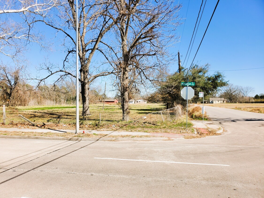 7204 Homestead Road Houston, TX 77028 - Photo 13 of 14 a view of a yard with a tree