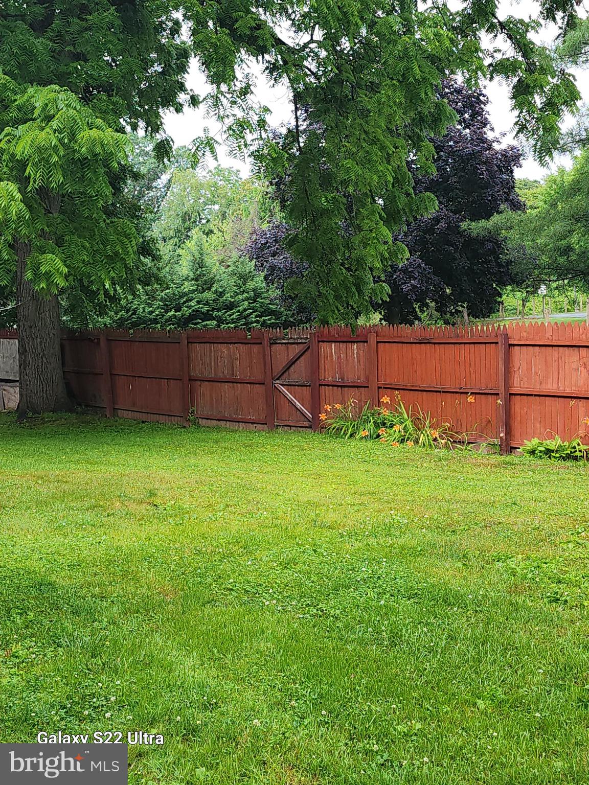 306 Middletown Road Media, PA 19063 - Photo 21 of 22 a view of a yard with a fence and trees