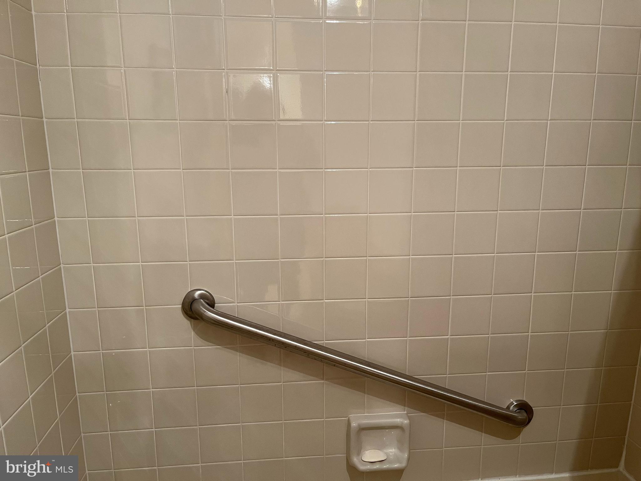 2131 Welsh Road, Unit 112 Philadelphia, PA 19115 - Photo 38 of 68 Grab Bars for Tub Safety