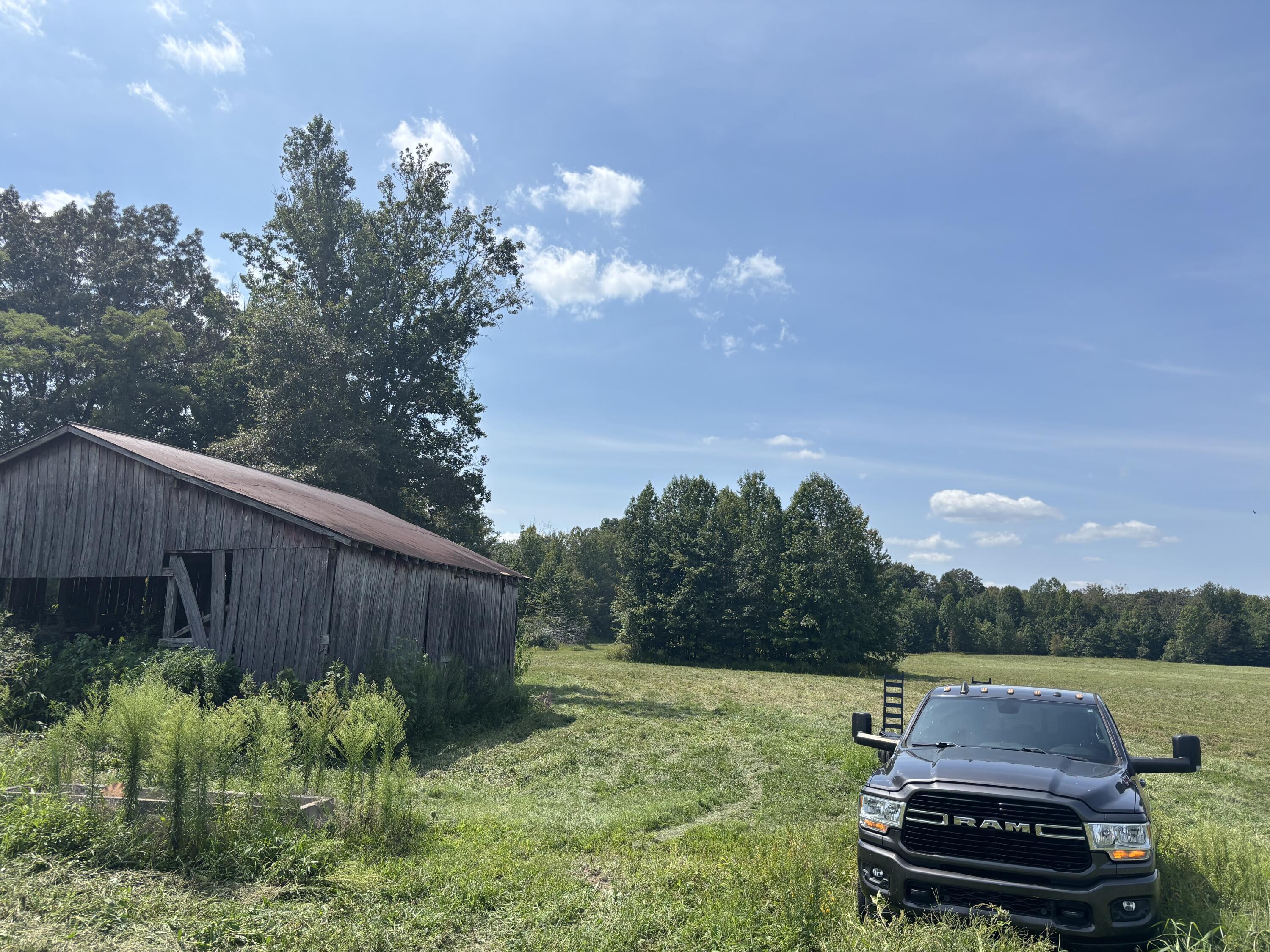 1075 Patterson Road Russell Springs, KY 42642 - Photo 2 of 5 IMG_6903