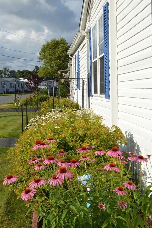 59 Somerset Road Chicopee, MA 01020 - Photo 25 of 25 Gallery Image 25