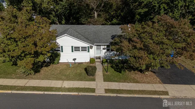 view of a garden with plants