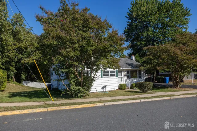 a view of a large garden with large trees