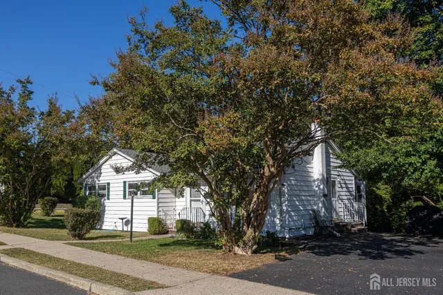 a view of a yard with a large tree