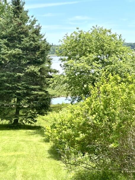 16 Rice Road Harrington, ME 04643 - Photo 16 of 19 IMG_6017
