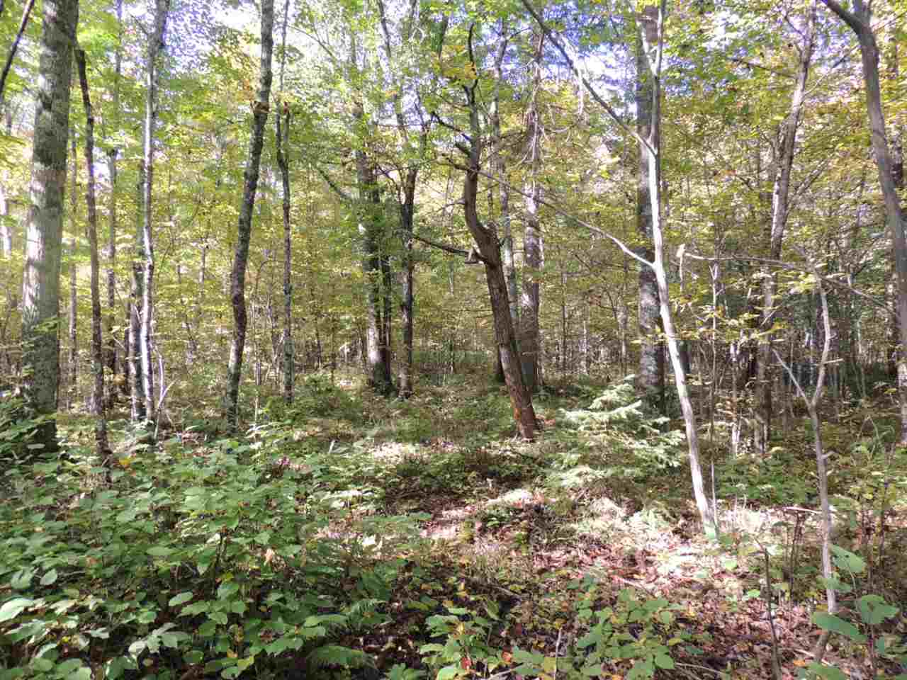 On On Thorne Road Aniwa, WI 54408 - Photo 1 of 1