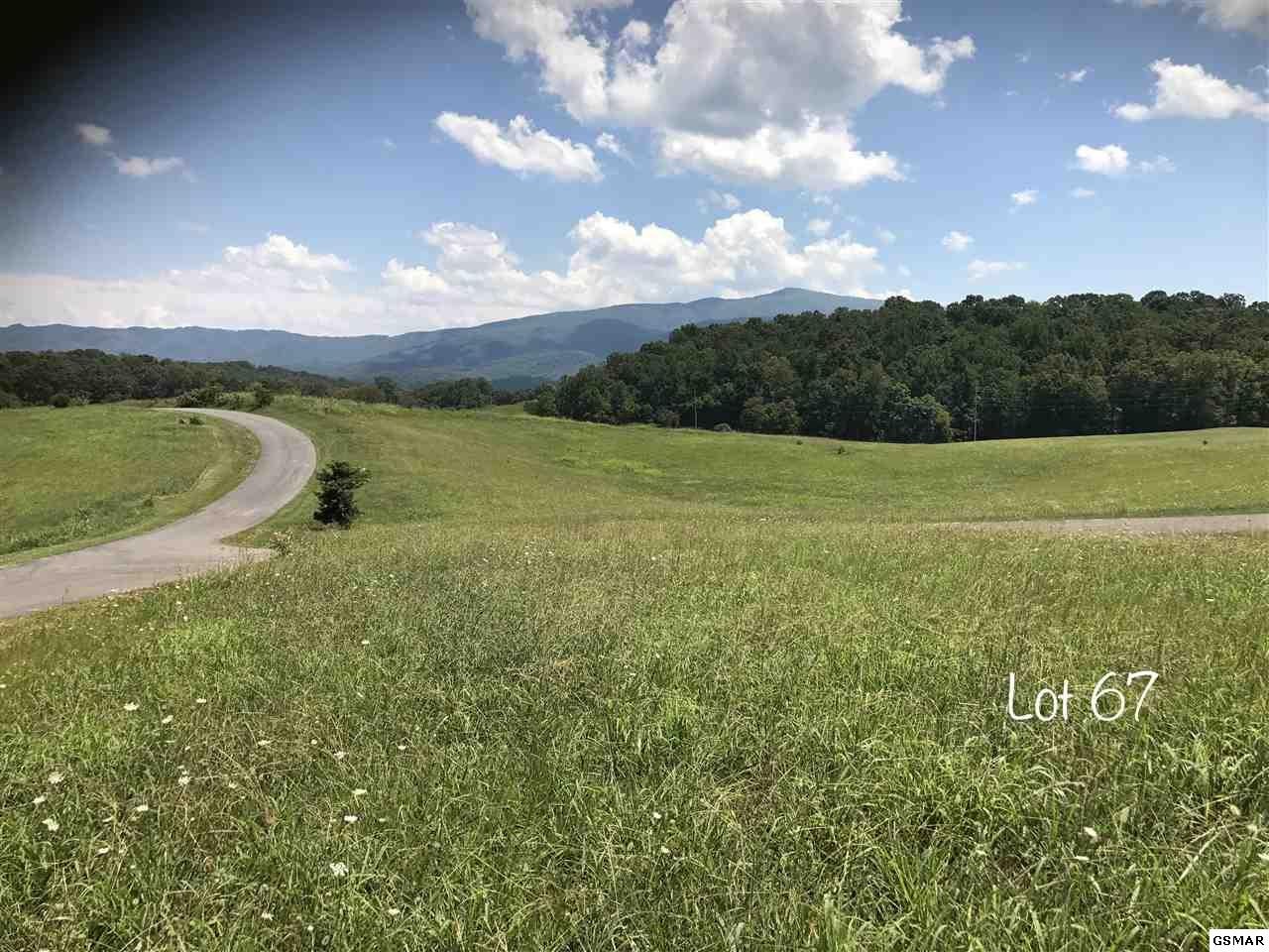 67 O'Neil Road Cosby, TN 37722 - Photo 1 of 1