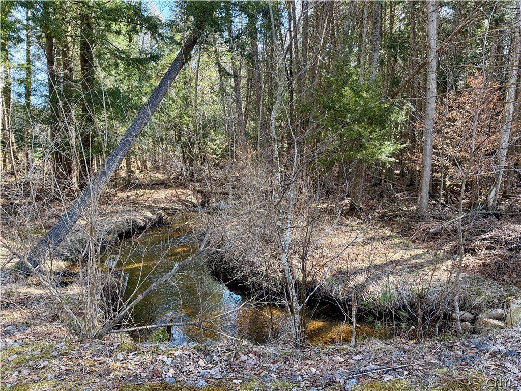 6919 Austin Road Glenfield, NY 13343 - Photo 3 of 28