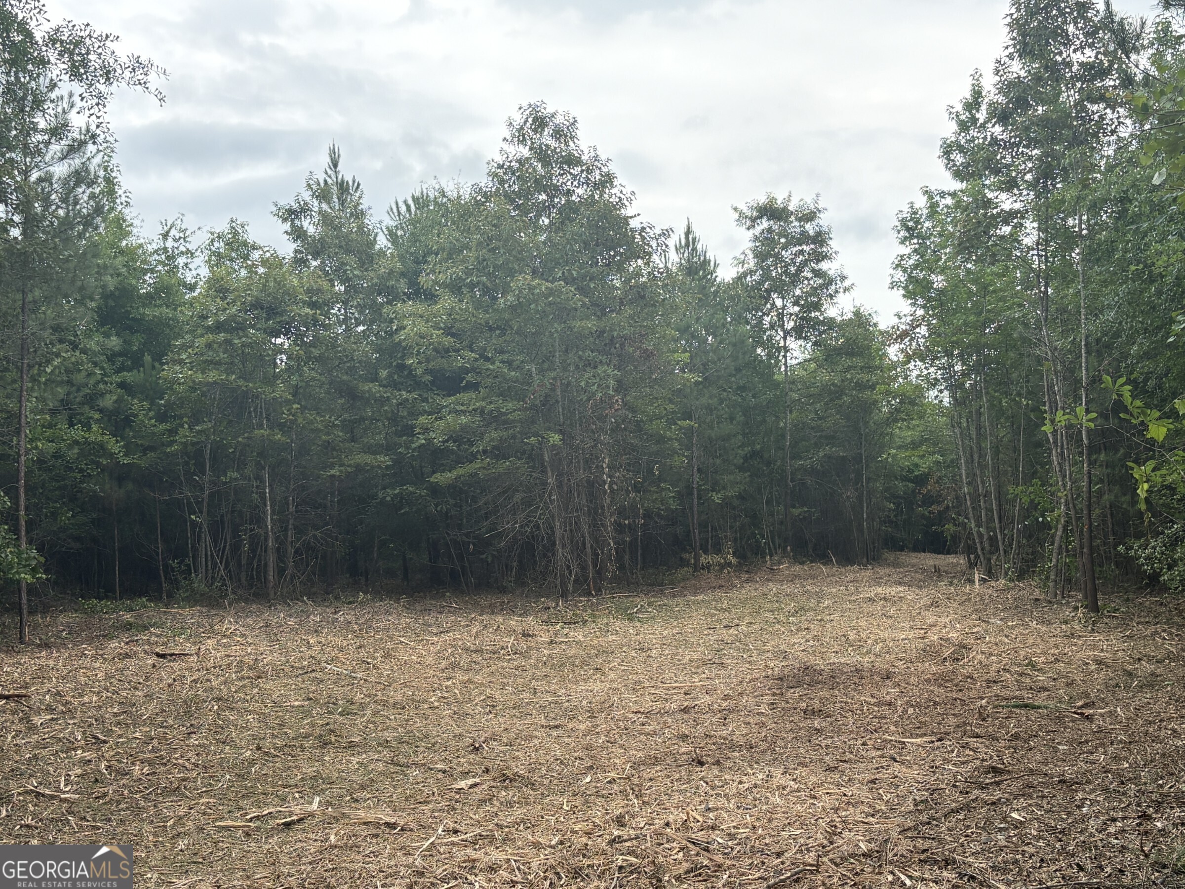 L1 Prosser Road Sandersville, GA 31082 - Photo 2 of 10