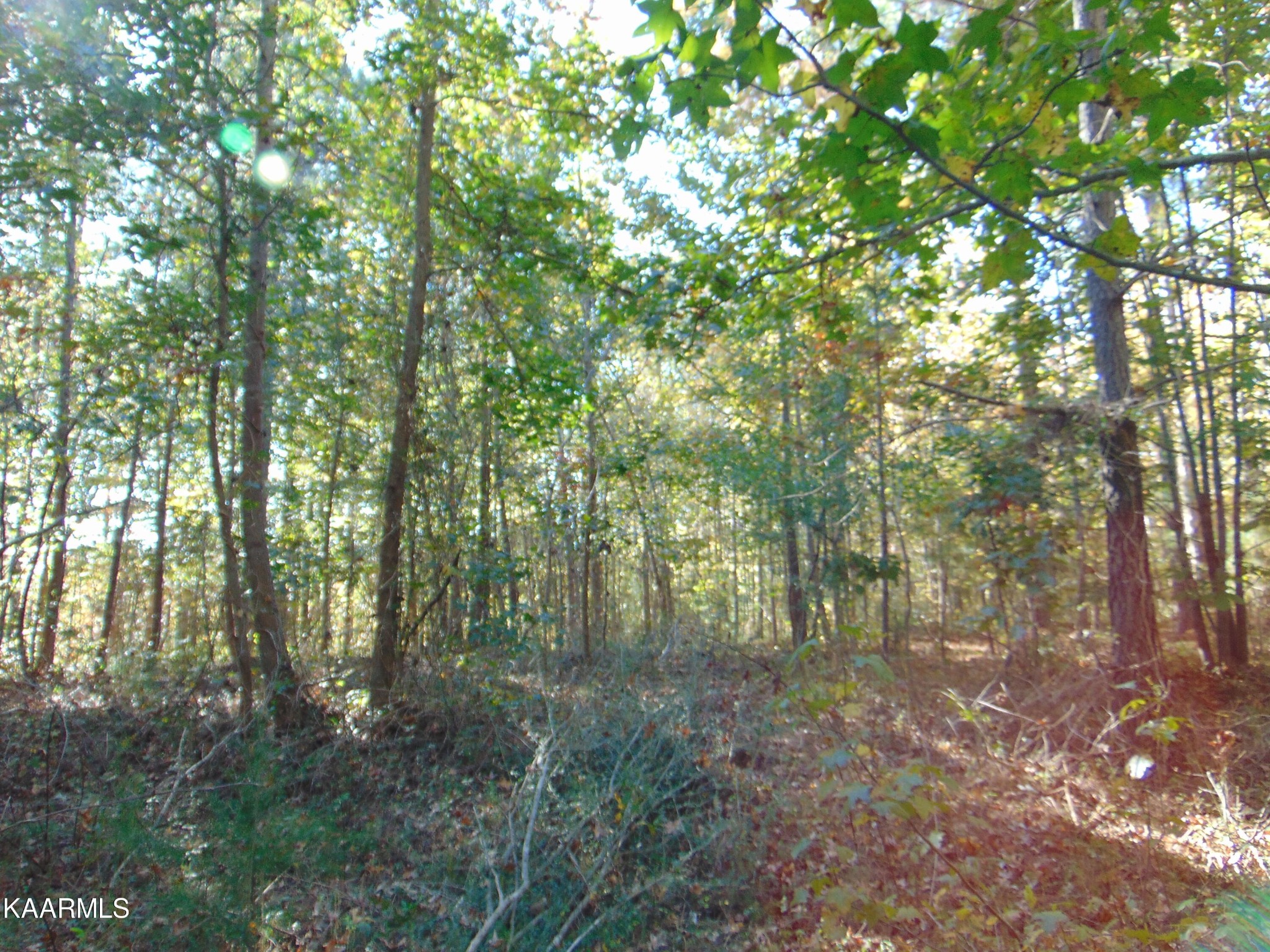 25 Charles Road Decatur, TN 37322 - Photo 9 of 17