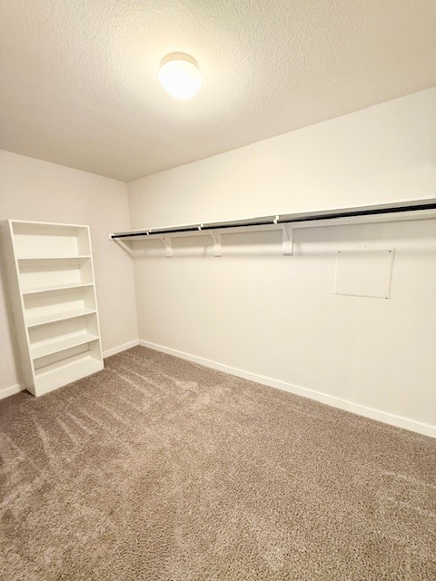 217 Laura Leigh Lane Angleton, TX 77515 - Photo 13 of 15