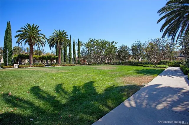 a view of a park with palm trees