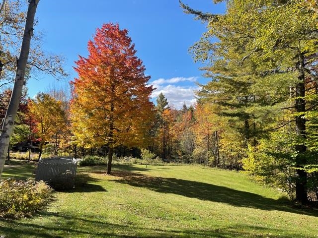 211 Howland Farm Road Mount Holly, VT 05730 - Photo 1 of 1