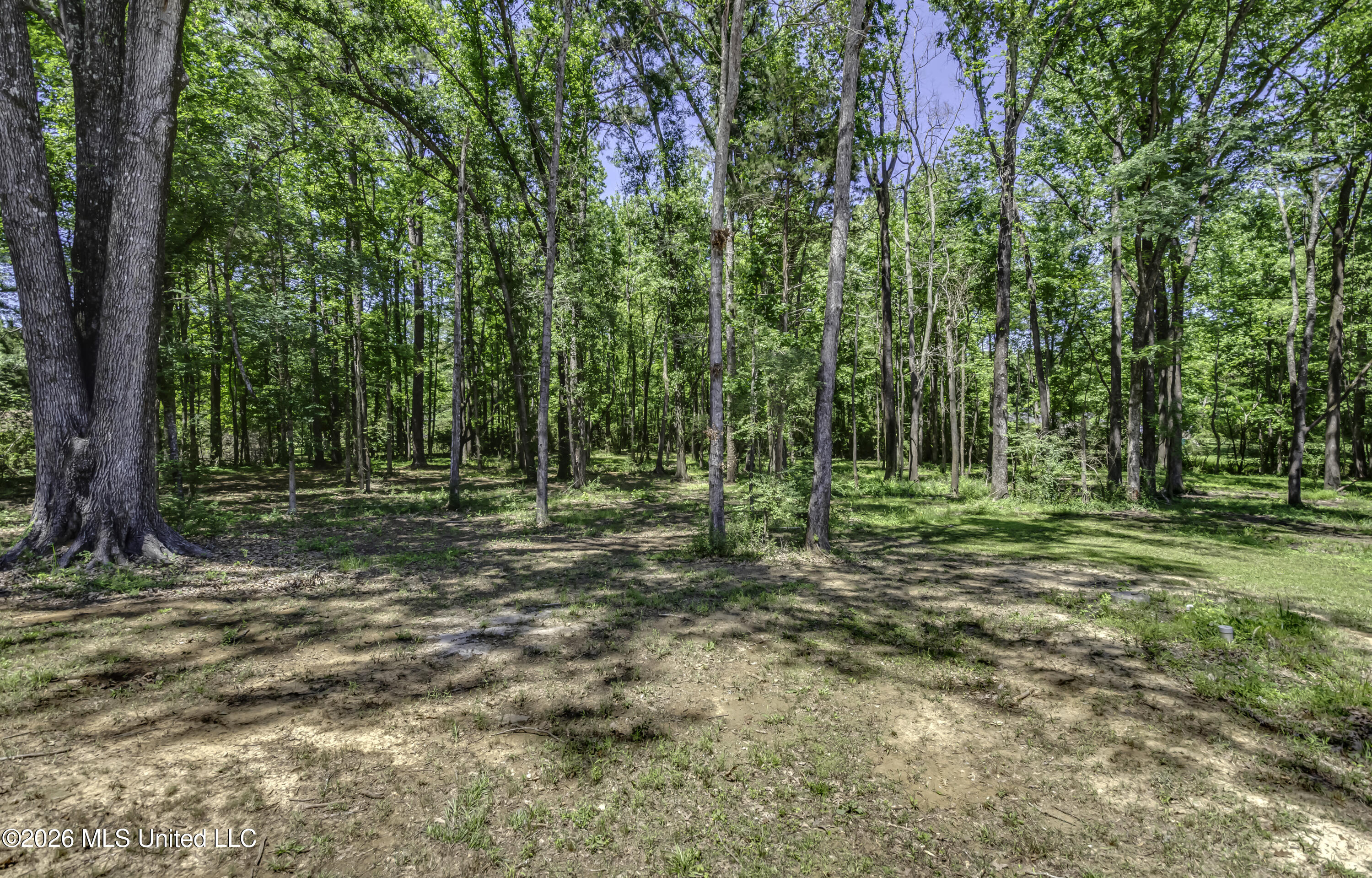 214 B Parks Road Jackson, MS 39212 - Photo 42 of 47 Back yard