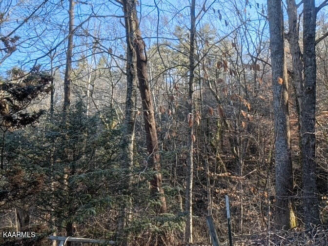 431 Boat Gunnel Road Townsend, TN 37882 - Photo 34 of 34 PXL_20230124_151541228