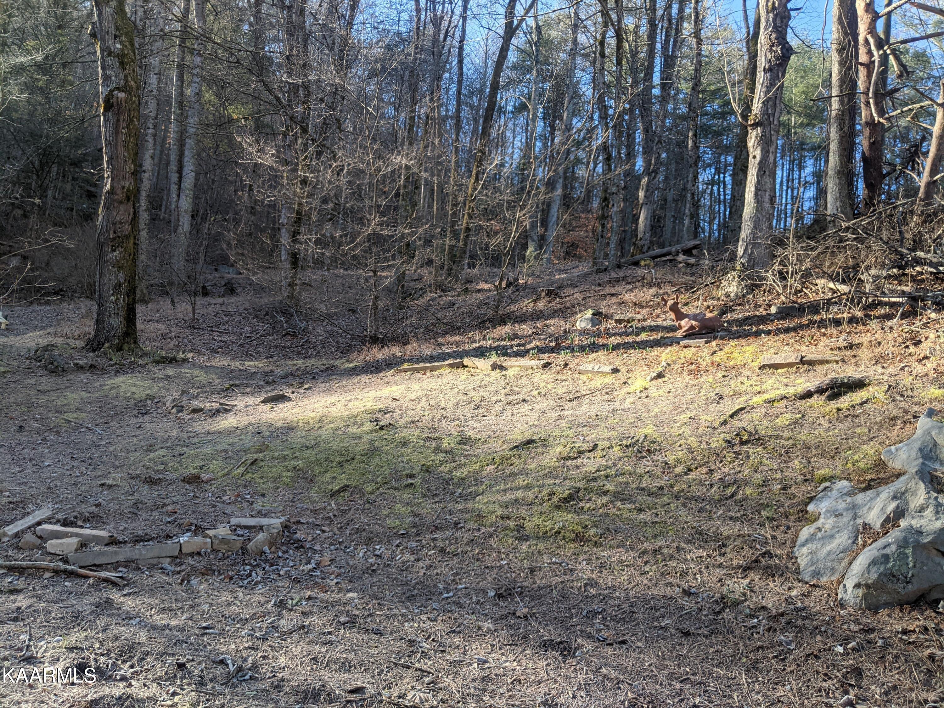 431 Boat Gunnel Road Townsend, TN 37882 - Photo 8 of 34 PXL_20230124_151144053