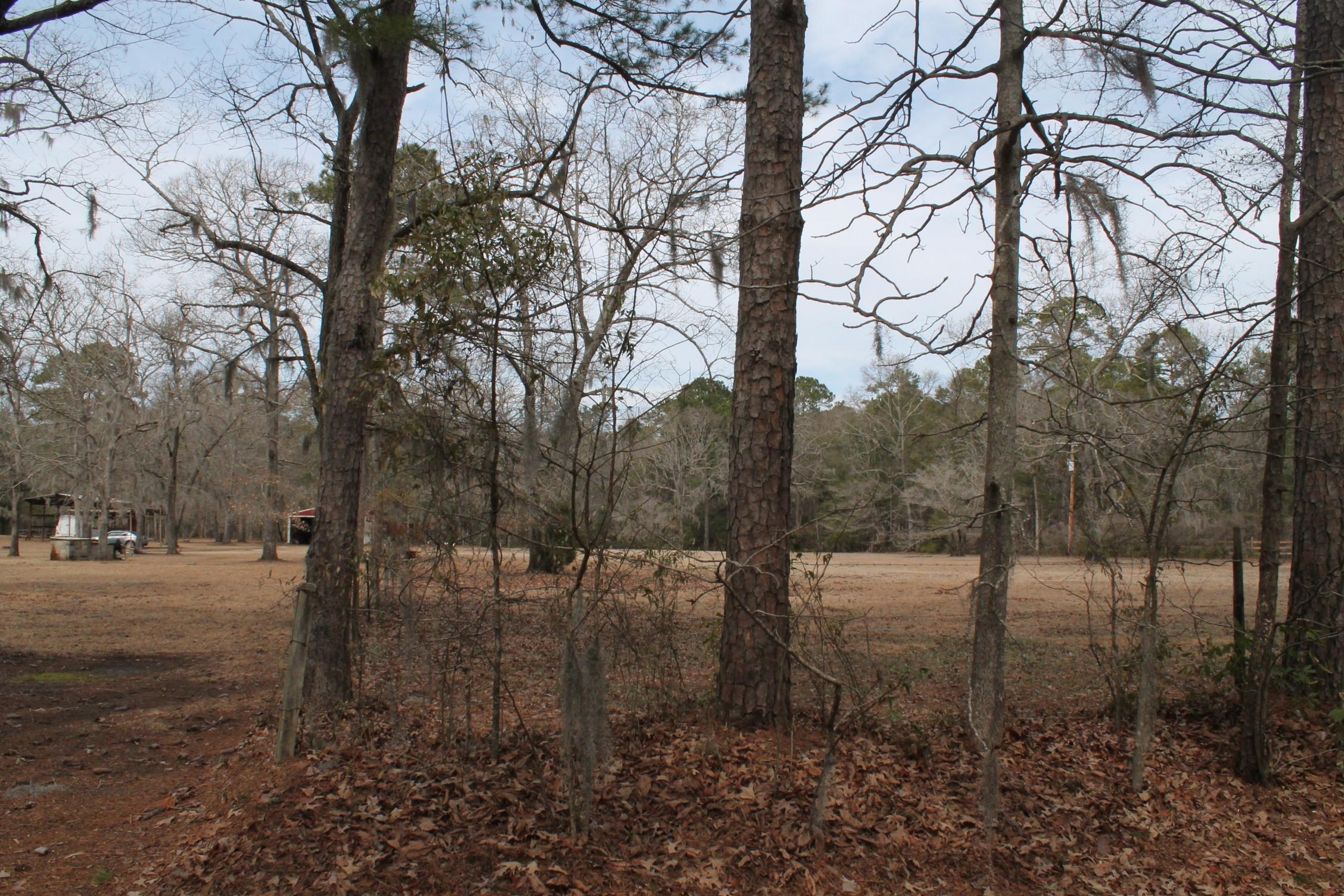 3876 Humbert Road Johns Island, SC 29455 - Photo 2 of 28 IMG_7078