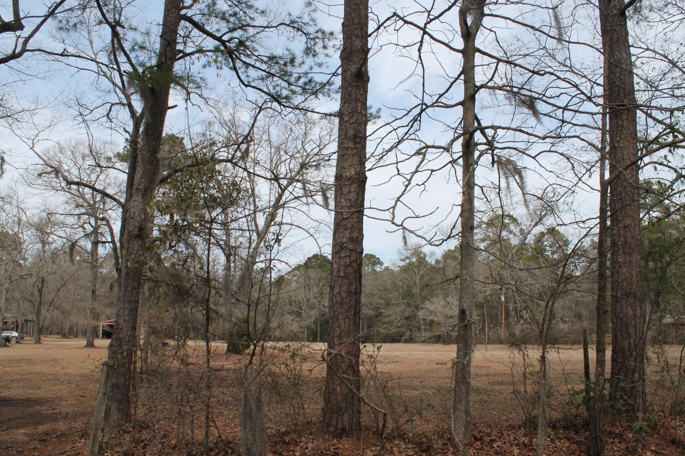 3876 Humbert Road Johns Island, SC 29455 - Photo 3 of 28 IMG_7080