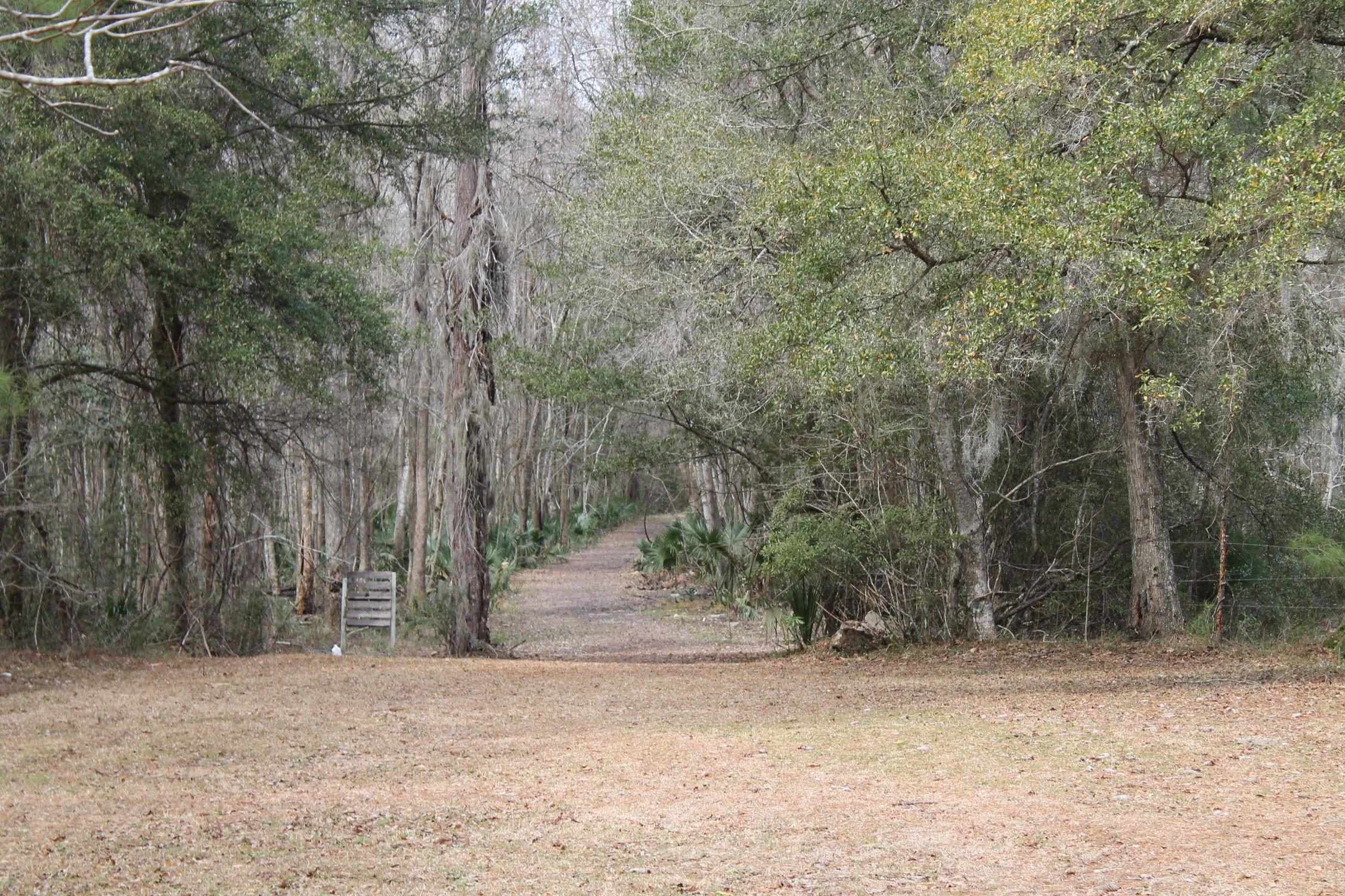 3876 Humbert Road Johns Island, SC 29455 - Photo 22 of 28 IMG_7136