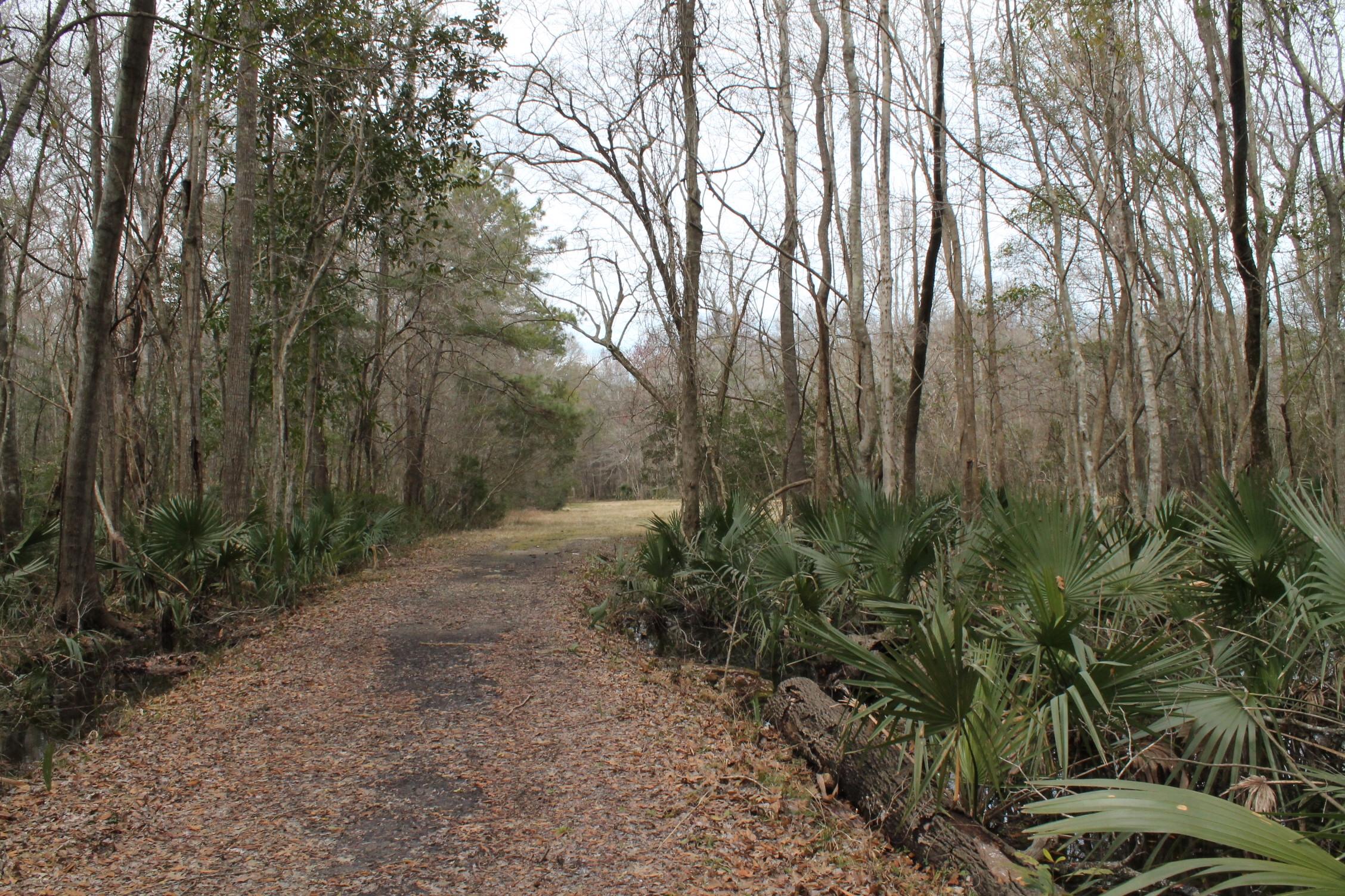 3876 Humbert Road Johns Island, SC 29455 - Photo 24 of 28 IMG_7149