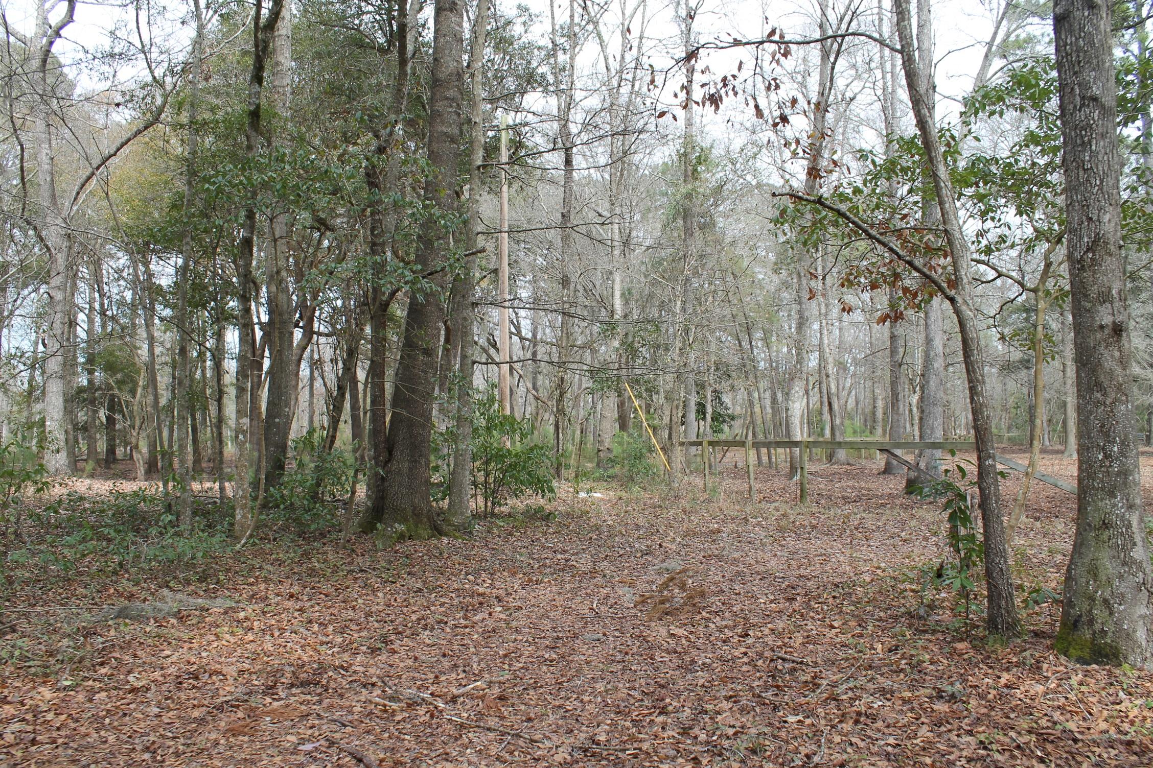 3876 Humbert Road Johns Island, SC 29455 - Photo 25 of 28 IMG_7161