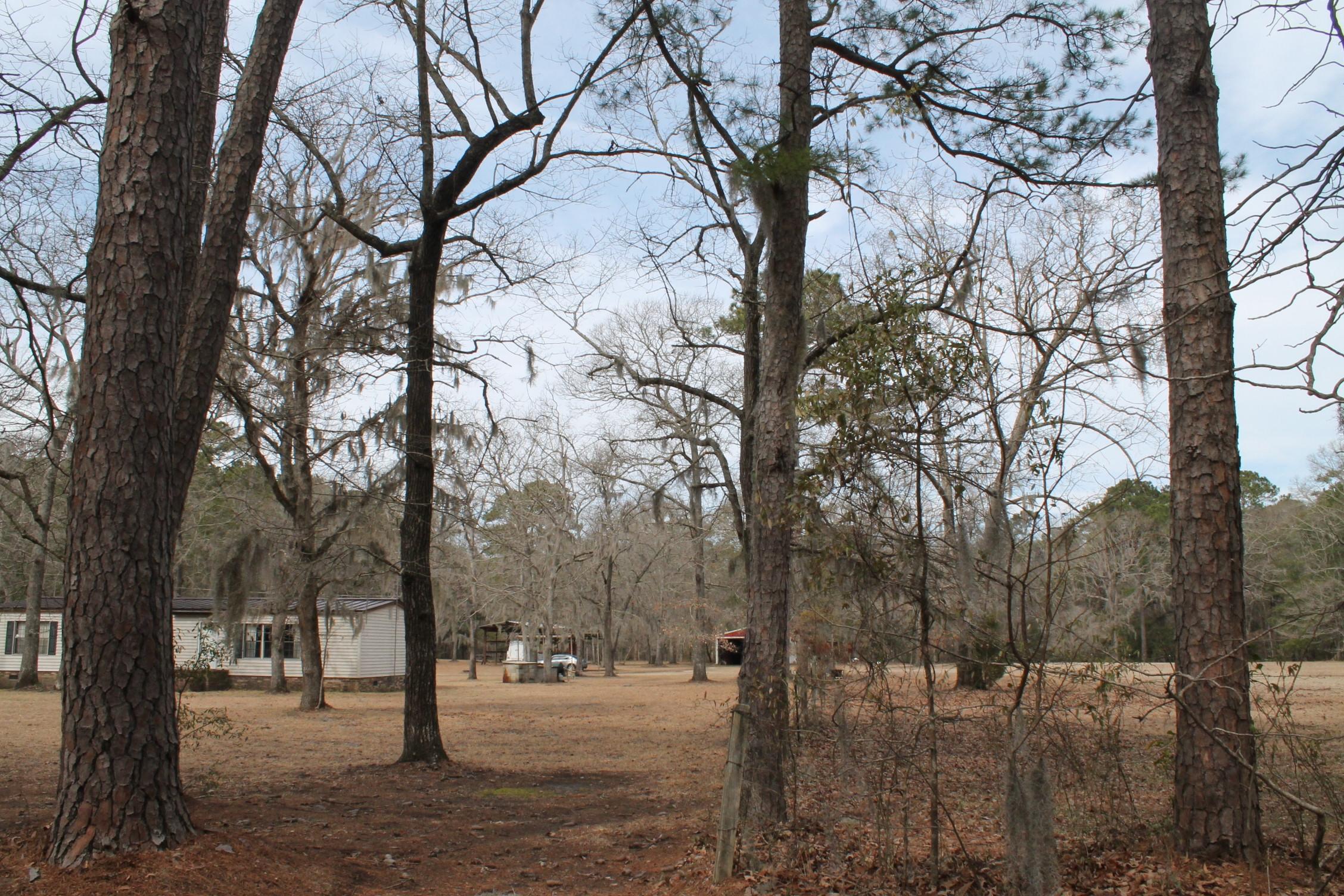 3876 Humbert Road Johns Island, SC 29455 - Photo 4 of 28 IMG_7081