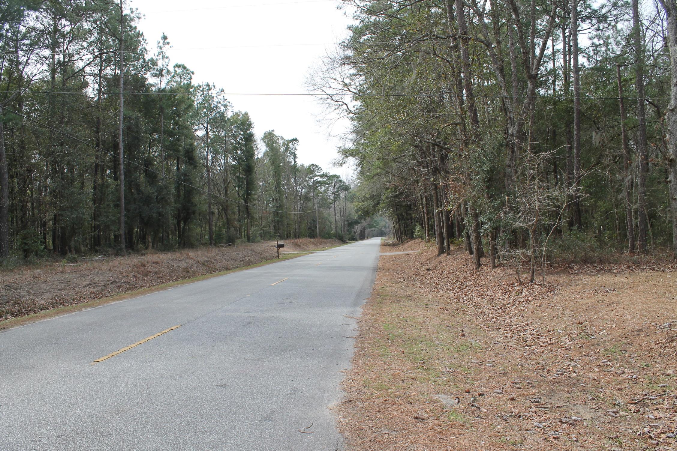 3876 Humbert Road Johns Island, SC 29455 - Photo 5 of 28 IMG_7085