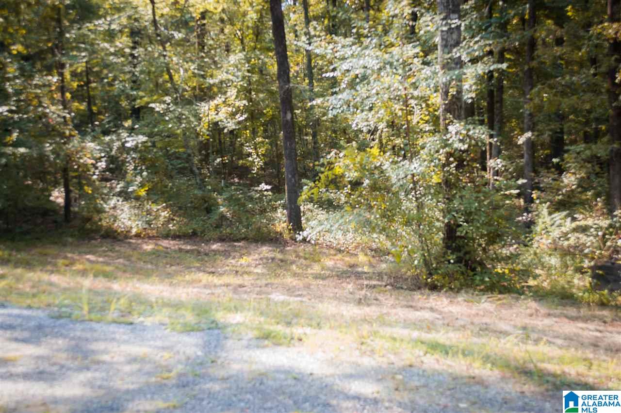 1054 Florida Road Pell City, AL 35125 - Photo 5 of 19